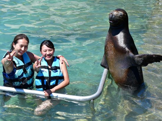 Tr00100420221012031906448