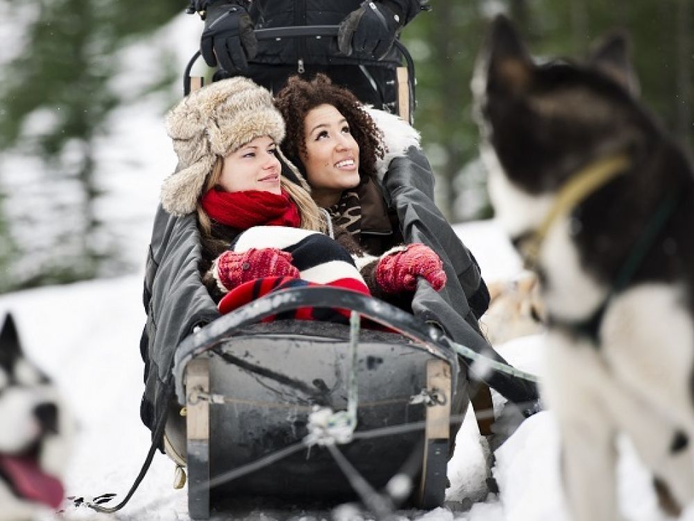 バルマウント 犬ぞり体験 雪景色の中を駆ける60分 ＜12～3月／英語