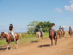 IMG-9524