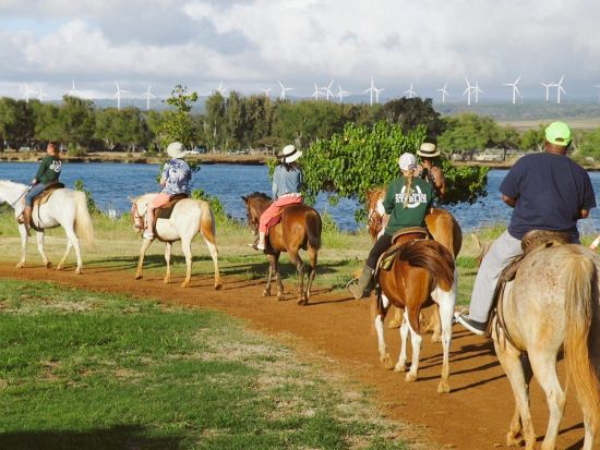 ノースショア（ハレイワ）貸切チャーター　乗馬や四輪バギーなどノースショアでの各種アクティビティもご用意！＜1～25名／6～10時間／日本語ガイド＞