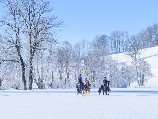 AdobeStock_224491208