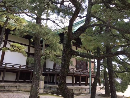 京都御所2