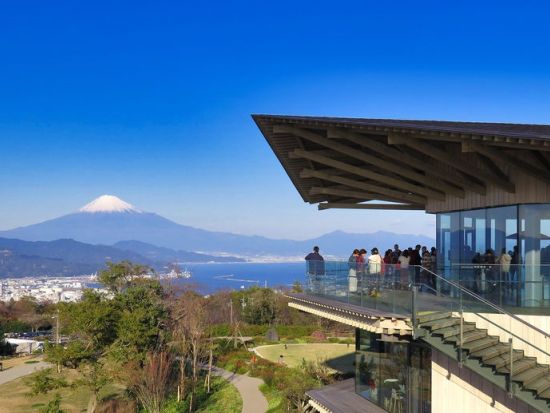 富士山を望む清水港クルーズ＋日本平夢テラス＋久能山東照宮 日帰りバスツアー＜1日／名古屋発着＞