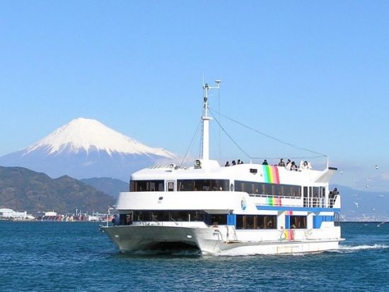 富士山を望む清水港クルーズ＋日本平夢テラス＋久能山東照宮 日帰りバスツアー＜1日／名古屋発着＞