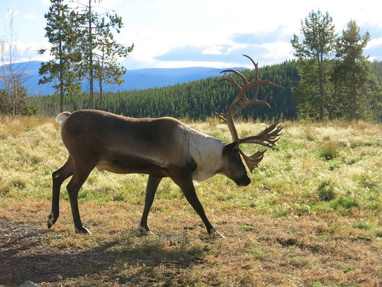 ara-adwh_20140924_155011_1281