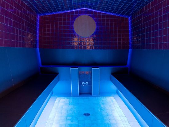 ユーコン野生動物保護区＆エクリプス・ノルディック温泉ツアー ＜7～4月／日本語ガイド選択可＞