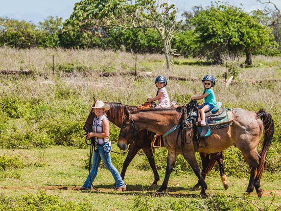 乗馬体験(0.5～2時間)　2歳から参加OKの子供向けコースやサンセット、貸切ランチ付きなど選べるコースで広大な牧場を満喫！＜ガンストック牧場／現地集合＞