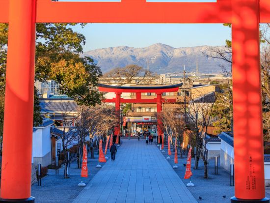 日帰りバスツアー 伏見稲荷大社＋清水寺＋金閣寺＋嵐山 定番観光地を1日で巡る！昼食付プランあり＜梅田・京都発／英語・日本語＞by 神姫観光 LIMON