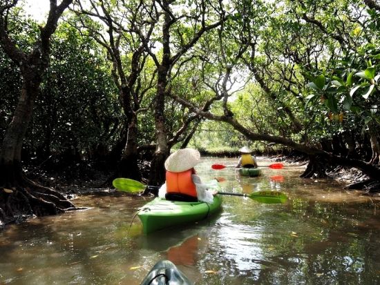 マングローブカヌーツアー ジャックと豆の木のモデル「モダマ」と大迫力の「フナンギョの滝」にもご案内　＜3時間／住用町発＞byスローガイド奄美