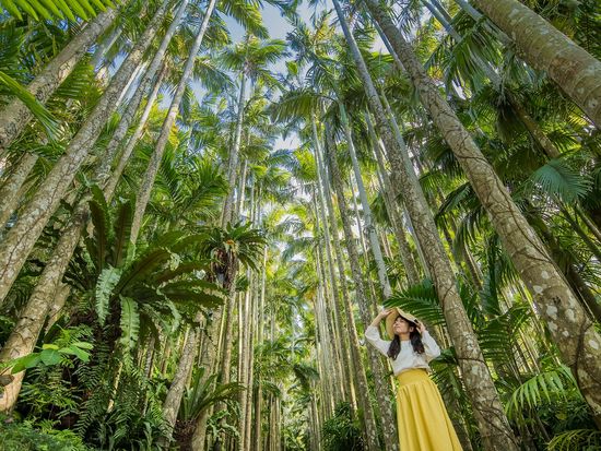 東南植物楽園