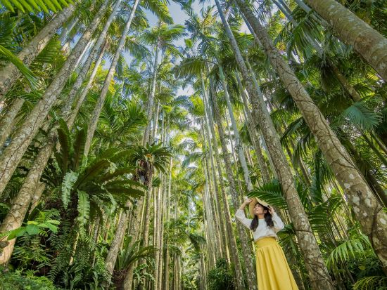 美ら海とくとく5パス or 沖縄とくとく3パス 人気施設の割引入場券セット お得に旅行を楽しもう！＜5日間有効＞by 沖縄JTB