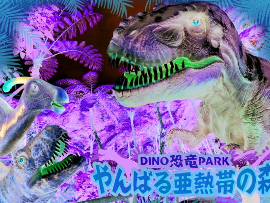 美ら海とくとく5パス or 沖縄とくとく3パス 人気施設の割引入場券セット お得に旅行を楽しもう！＜5日間有効＞by 沖縄JTB