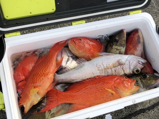 船釣り体験 手ぶらで参加OK！奄美の景色を楽しみながら釣りをしよう ＜半日コース・1日コース／瀬戸内町＞ by アマニコガイドサービス