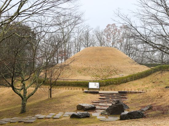 貸切観光タクシー 飛鳥寺・石舞台古墳・高松塚古墳をめぐる飛鳥路コース＜6時間／1～9名／奈良市内ホテル・奈良駅発＞by 服部タクシー