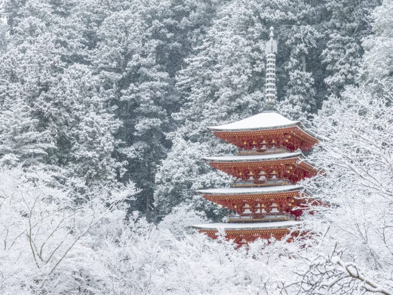 Hase-temple_pixta_81258284_長谷寺 雪の五重塔