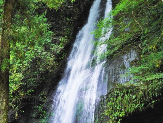 貸切タクシー 行先は自由！かずら橋・落合集落などの絶景へご案内＜3時間・5時間・8時間／1～9名／大歩危駅・祖谷温泉郷発＞