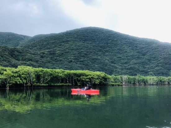 サンセットマングローブカヌーツアー 人が少ない時間帯にのんびりカヌーを楽しもう＜2時間／住用町＞ byアマニコガイドサービス