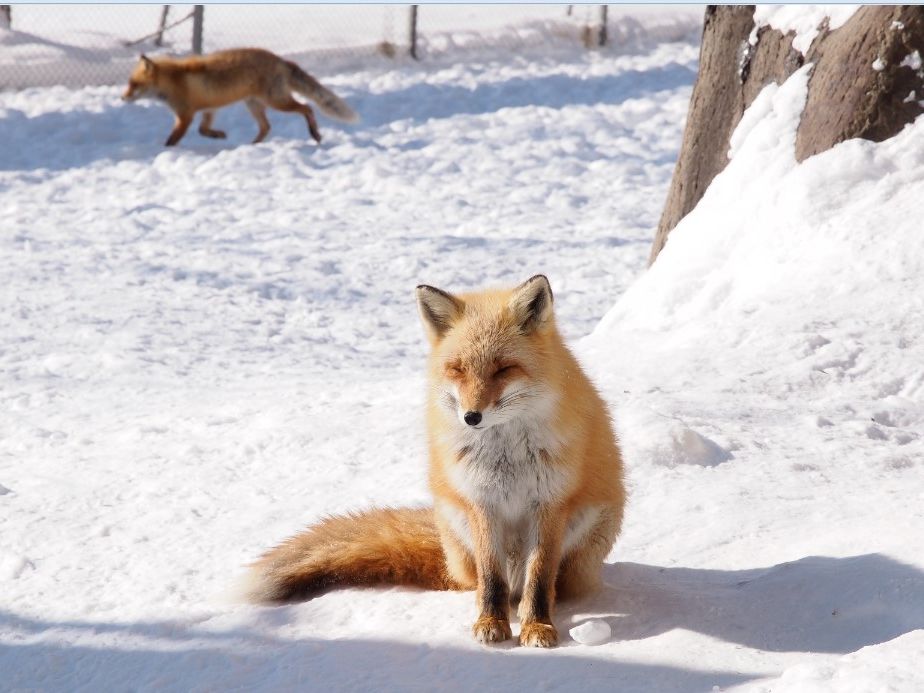 20221212083709_1700881851_1617