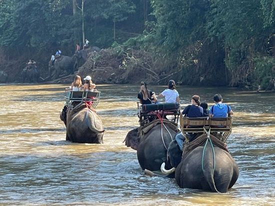 エレファントキャンプ半日ツアー　大自然アドベンチャー！象乗り体験＋牛車乗り＋いかだ下り＜午前／送迎／日本語ガイド／昼食＞