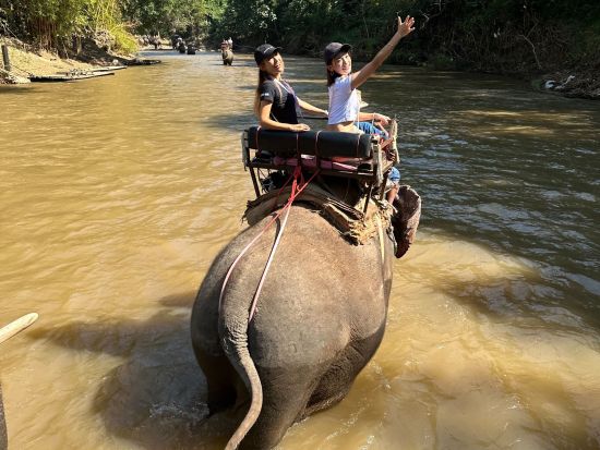 エレファントキャンプ半日ツアー　大自然アドベンチャー！象乗り体験＋牛車乗り＋いかだ下り＜午前／送迎／日本語ガイド／昼食＞