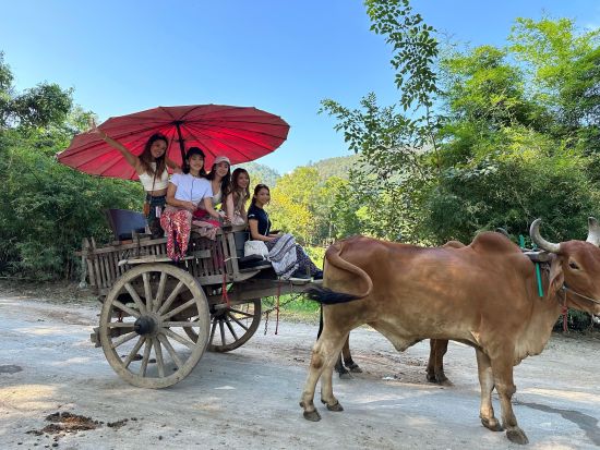 エレファントキャンプ半日ツアー　大自然アドベンチャー！象乗り体験＋牛車乗り＋いかだ下り＜午前／送迎／日本語ガイド／昼食＞