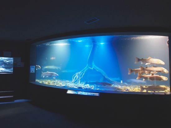 北の大地の水族館 new