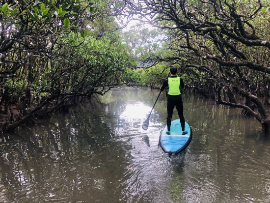 マングローブSUPツアー 雄大な奄美大島のマングローブをゆったり水上散歩＜午前・午後／2.5時間／住用町＞ byアマニコガイドサービス