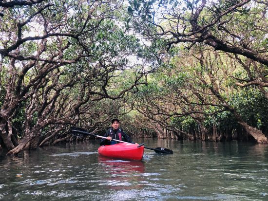 貸切案内！マングローブカヌーと奄美の絶景ツアー 専属ガイドが案内する世界自然遺産の奄美大島を満喫＜6～7時間／島内全域送迎可能＞ byアマニコガイドサービス