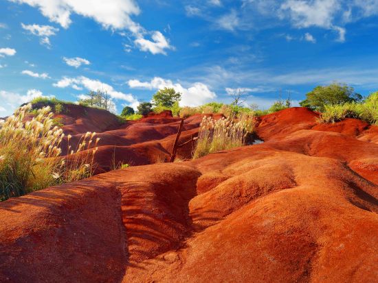 カウアイ島日帰りツアー　ワイメア渓谷観光＆コケエ州立公園ハイキング＆コーヒー農園訪問 ＜英語ガイド＞