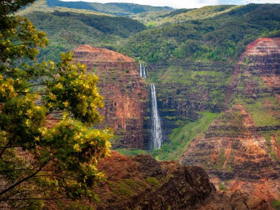 カウアイ島日帰りツアー　ワイメア渓谷観光＆コケエ州立公園ハイキング＆コーヒー農園訪問 ＜英語ガイド＞