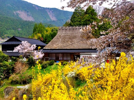 4549e080491f14837c1976fb5bb14e94-1200x798