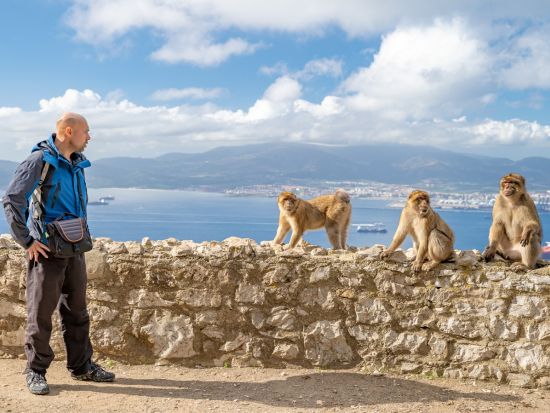ジブラルタル 1日観光ツアー　地中海の要塞へ ＜コスタ・デル・ソル発＞