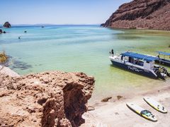 AM_Isla-Espiritu-Santo_BCS_MEX_071319_3033_edited