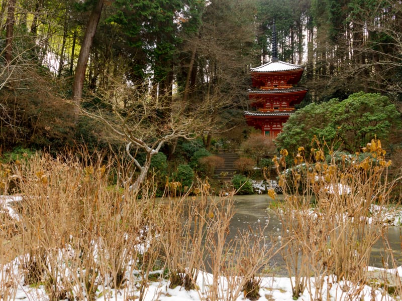 Japan_Nara_Gansen-ji_pixta_28290885_岩船寺