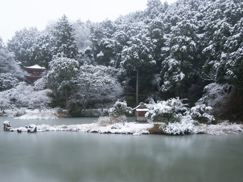 Japan_Nara_Joururi-temple_pixta_26447142