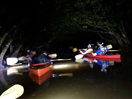 夜のマングローブカヤックツアー 自分でカヤックを漕いでマングローブを自由に冒険 ＜2時間／住用町＞ byアマニコガイドサービス