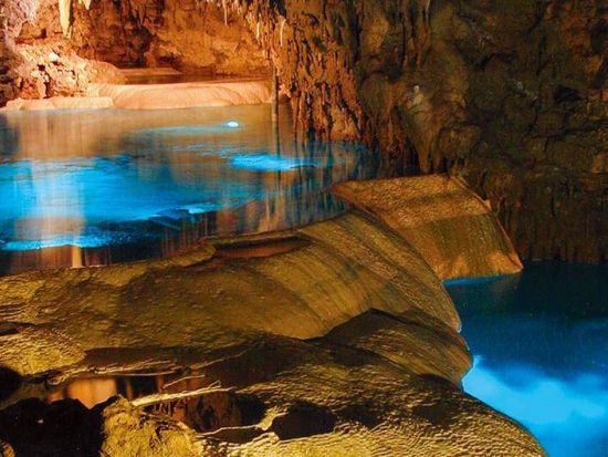 おきなわワールド 4種類から選ぶ工芸体験付のプランもご用意！ 沖縄の魅力が集まった定番の観光スポット！＜指定利用日より60日間引換OK／南城市＞