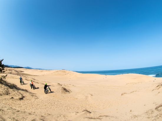 （掲載NG）pixta_63514015_M