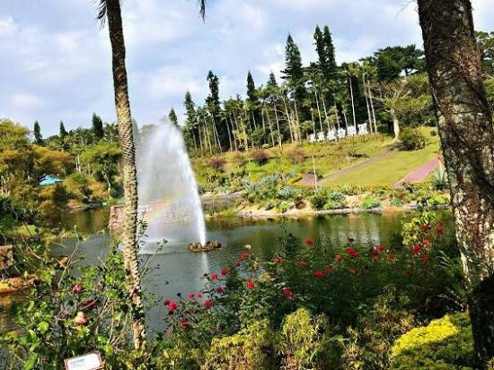 前売りチケットがお得！美らヤシパークオキナワ・東南植物楽園 南国の自然や動物に触れ合える! ＜沖縄市＞