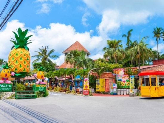 ナゴパイナップルパーク  大人から子供までパイナップルを遊び尽くせる観光スポット！ ＜購入後90日間引換OK／名護市＞