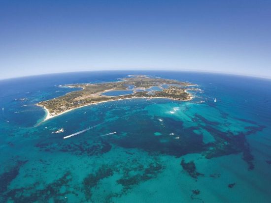 ロットネスト島 往復フェリーチケット＆選べるアクティビティ　「世界一幸せな動物」クオッカに出逢えるフリータイム＜パースorフリーマントル発着＞