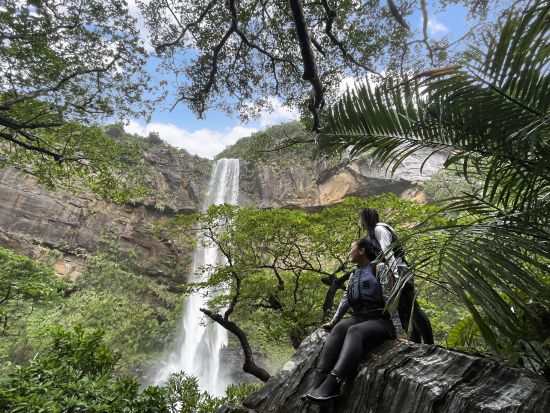マングローブカヌー＋ピナイサーラの滝トレッキングツアー　滝上での絶景ランチと滝つぼ遊びで亜熱帯の森を満喫！＜上原港または西部地区ホテル無料送迎／西表島＞