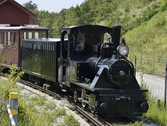 ネオパークオキナワ 珍しい動植物たちがいっぱい 誰でも楽しめる沖縄の観光スポット！＜購入後90日間引換OK／名護市＞