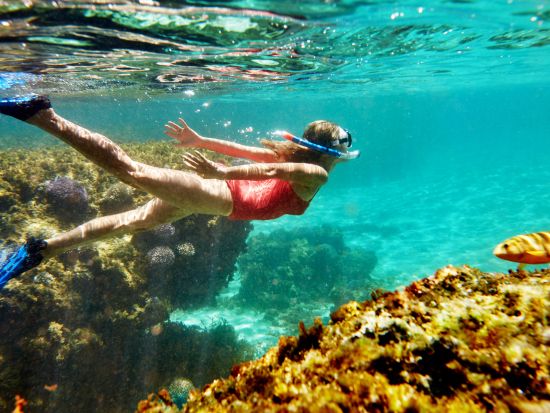 Snorkeling