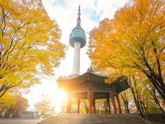 Korea_Seoul_Seoul Tower_shutterstock_757962787