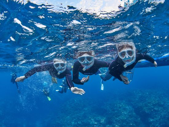 サンゴ礁を学ぼう！海を守る月桃と石垣の塩を学んだあとにシュノーケリングを楽しむサスティナブルツアー＜市街地送迎／石垣島発＞