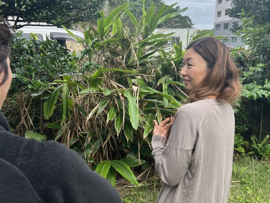 サンゴ礁を学ぼう！海を守る月桃と石垣の塩を学んだあとにシュノーケリングを楽しむサスティナブルツアー＜市街地送迎／石垣島発＞