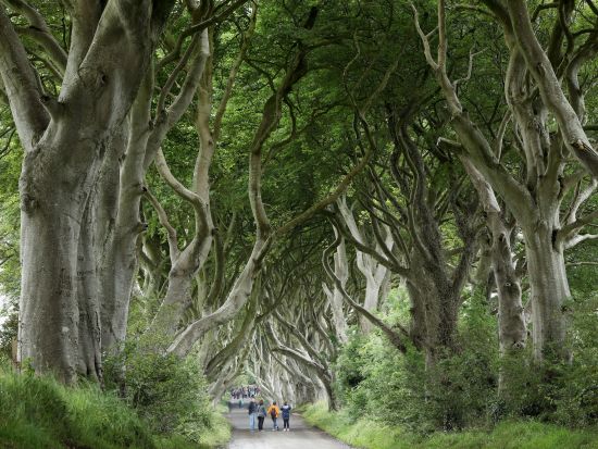 世界遺産ジャイアンツ・コーズウェイ＆ベルファスト　日帰りツアー ＜英語ドライバーガイド／ダブリン発＞