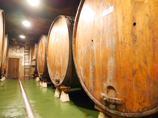 バスクの食文化を体験！シードレリア見学ツアー 食事（ランチ or ディナー）＆シードラ飲み放題付き＜貸切／サン・セバスチャン発＞