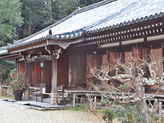 Japan_Nara_Joururi-temple_pixta_82070592_冬の浄瑠璃寺本堂（国宝）